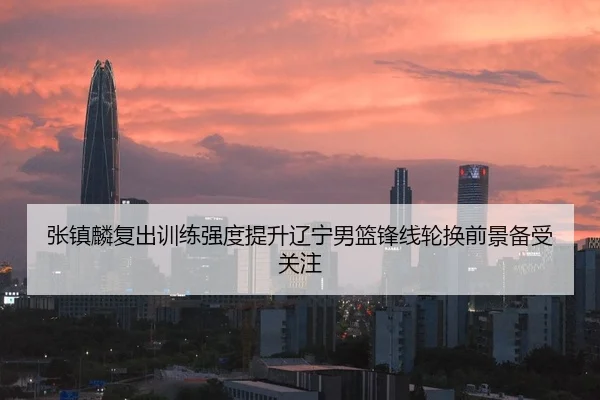 张镇麟复出训练强度提升辽宁男篮锋线轮换前景备受关注